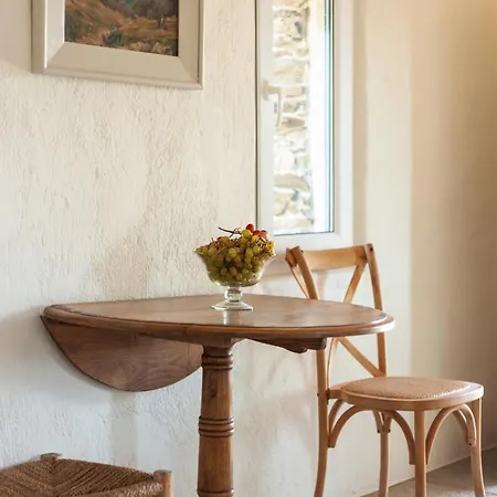 Amoni Andros Feriehus Agia Eleousa